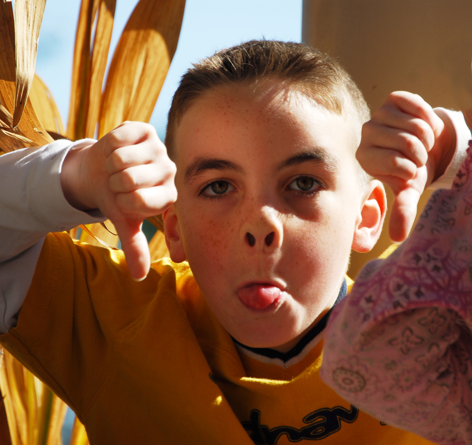 The truth about today's customer satisfaction surveys and how you can get better feedback.